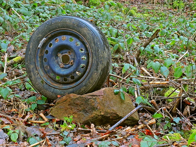 Aktion „Saubere Landschaft entfällt“